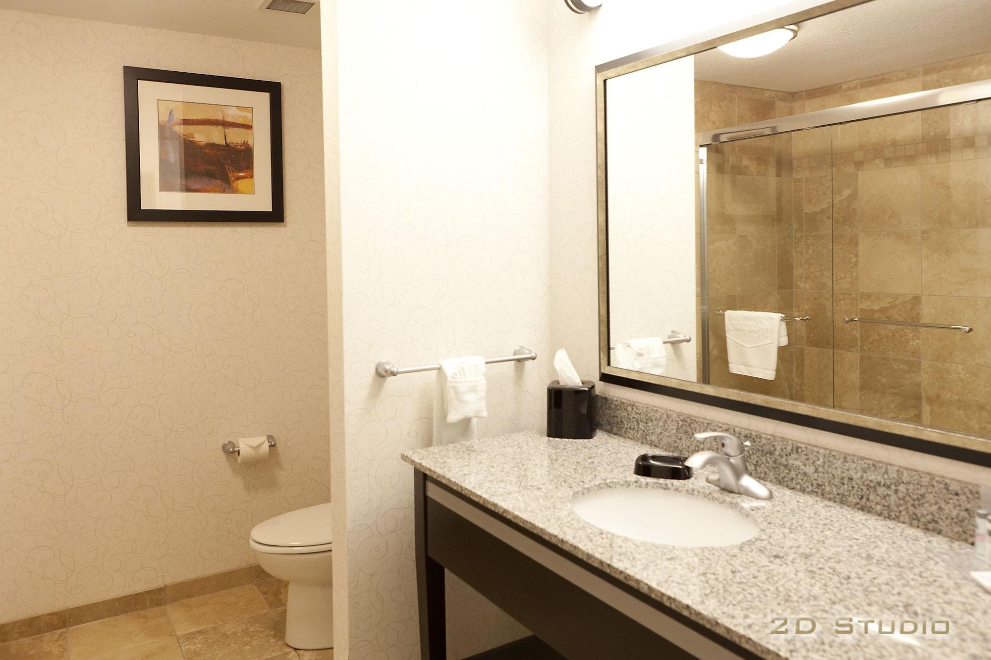Hampton Inn & Suites By Hilton Lethbridge Ngoại thất bức ảnh